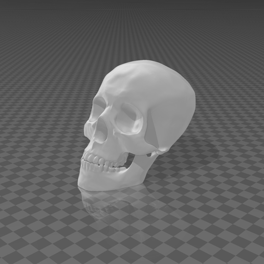 Screenshot_20230226_083228.png Half Skull Wall Art