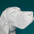 english-setter-on-the-hunt-wfr.jpg English Setter