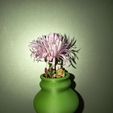 IMG_20251006_184410.jpg 🌸 Vasi da fiori da frigo
