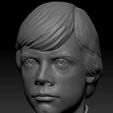 Capture d’écran 2018-04-05 à 11.20.46.png Luke Skywalker buste (ancienne version)