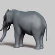R04.jpg elephant pose 02