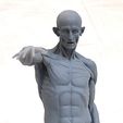 houdon_ecorche_smalla.jpg human body grassetti ecorche stl model for 3d print