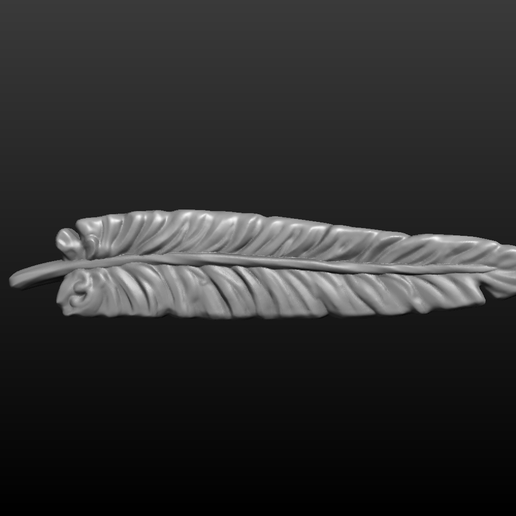 feather-004.png Feather 3
