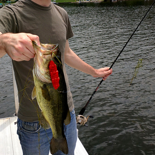 Capture_d__cran_2015-08-04___11.24.36.png Swimbait Fishing Lure