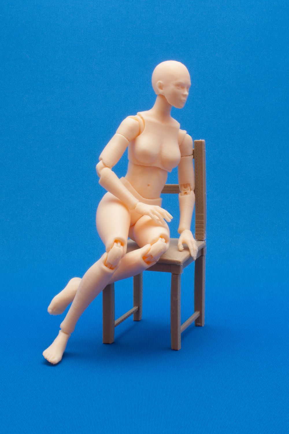 DSC_0025.jpg Datei 3D Articulated Poseable Female Figure・Design für 3D-Drucker zum herunterladen, RikkTheGaijin