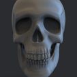Prev.698.jpg 头骨 3D 打印模型