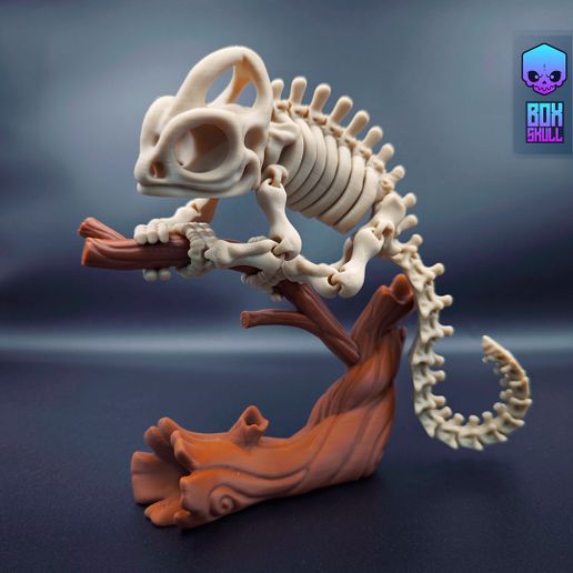 img_Chemeleon_001.jpg SKELETON CHAMELEON - ARTICULATED - PRINT-IN-PLACE - FLEXI