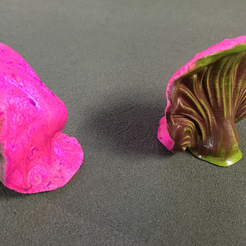 Installation de table : Végétation exotique 07 "Champignon étrange 02"