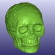 Mayan1.jpg Mayan Skull 3D Scan (Hollow)