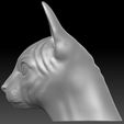 9.jpg Sphynx cat head for 3D printing