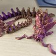 IMG_3002.jpg Flexi - Tiamat GvK 2