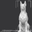 dobermanmed.png Doberman Pinscher