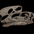 11.png Cráneo de Proceratosaurus