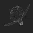 UV.jpg TURTLE REPTILE MAMMAL WATER SEA RIVER FISH TORTOISE 3D