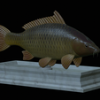 carp-statue-9.png fish carp / Cyprinus carpio statue detailed texture for 3d printing
