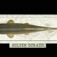 Golden-dorado-statue-17.png fish golden dorado / Salminus brasiliensis statue detailed texture for 3d printing