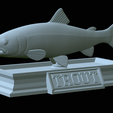 Rainbow-trout-statue-29.png fish rainbow trout / Oncorhynchus mykiss open mouth statue detailed texture for 3d printing