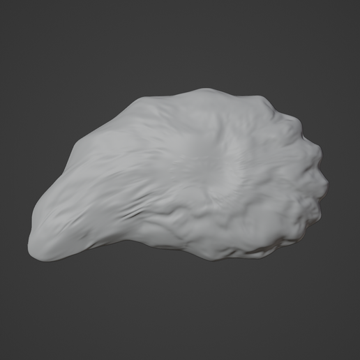 oyster-shell-2-image-3.png Oceanic Gem (oyster shell 2)