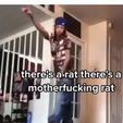 images.jpg a motherfuking rat