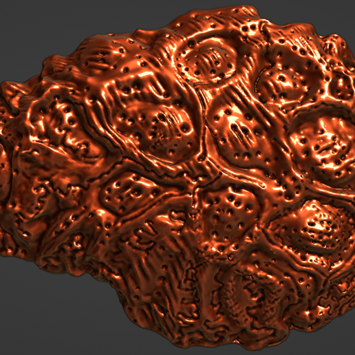 Oyster-Shell-Vol.-9-image-2.png Oyster Shell Vol. 9 High-Detail 3D Printable Model (STL, 3MF)
