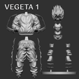 VEGETA-1.png STREET VEGETA (2 VERSIONS)