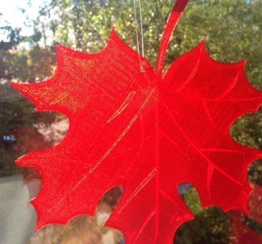 Maple_Leaf_2_display_large.jpg Maple_Leaf