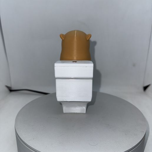 🧲 MAGNETIC CAPYBARA・ STL File for 3D printing・Cults