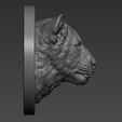 7.jpg Lion cub head