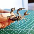 20231223_235705.jpg Radscorpion - Fallout creatures - high detailed scorpion even before painting