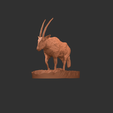 IMG_0161.png Oryx standing stl