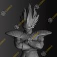 Vegeta3.jpg Vegeta (classic armor)