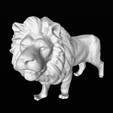 Lion01.png Lion（generate by POP）
