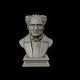 17.jpg Arthur Schopenhauer 3D printable sculpture 3D print model