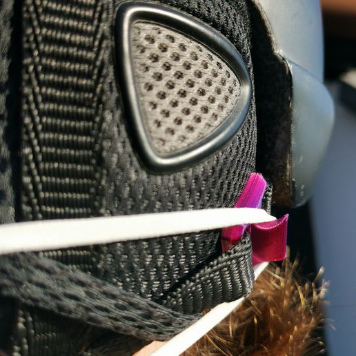 Mask Mount for Helmet 3D model