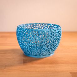 _DSC0692.jpg orchidflowerpot
