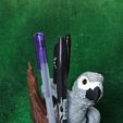 IMG_20240731_170103503.jpg African Grey Pencil Holder