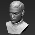 14.jpg Spider-Man Tobey Maguire bust 3D printing ready stl obj formats