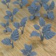 Alocasia.jpg Archivo STL 5 ALOCASIA PLANTAS PARA ENTORNO DIORAMA SOBREMESA 1/35 1/24・Modelo para descargar y imprimir en 3D