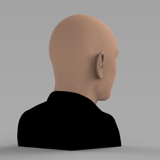 untitled.1102.jpg Descargar archivo El busto de Jeff Bezos está listo para la impresión en 3D a todo color • Diseño para imprimir en 3D, PrintedReality