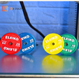 Eleiko-plates-magnets-1.png Eleiko gym disc magnets