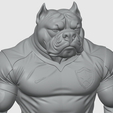 Captura-de-tela-2026-03-05-234158.png Pitbull Torcedor do Futebol BOTAFOGO
