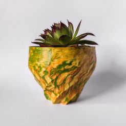 IMG_20210509_173842.jpg Free STL file algaepots・3D print model to download