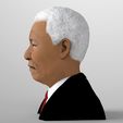 nelson-mandela-bust-ready-for-full-color-3d-printing-3d-model-obj-mtl-fbx-stl-wrl-wrz (4).jpg Nelson Mandela bust ready for full color 3D printing
