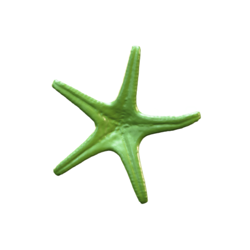 snapshot_p3d-(9).png Véritable étoile de mer 3d scan