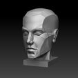 Face.jpg Anatomy of the human head