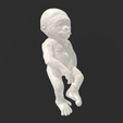 full_mix_3.png REALISTIC MONKEY REBORN BABY DOLL FOR KIDS - HIGH DETAIL PARTS