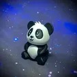 2024-06-24_3fe2592b1a4cf.webp "Pandy" The Baby Panda