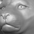 17.jpg Leopard head for 3D printing
