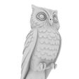 6.jpg Sweet Owl – Niedliche Eule im charmanten Stylized‑Look