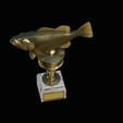peacock-bass-trophy-3-1-2-11.png Peacock bass (Cichla ocellaris) fish trophy cup 2 for 3d printing